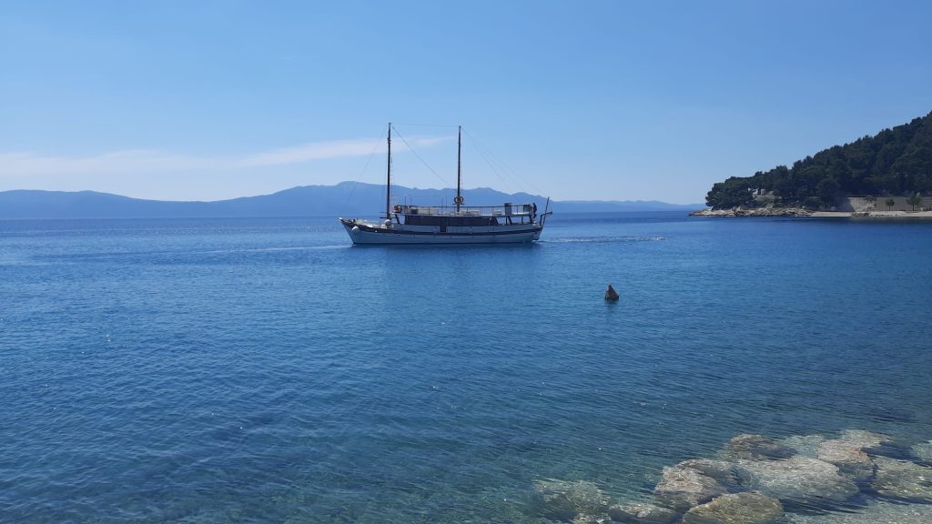 7816a3f1-33fd-4bc3-9af3-2901308f5871